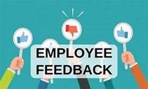 employee feedback